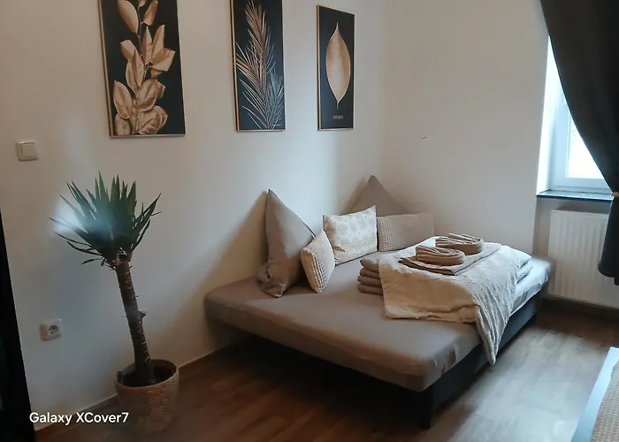 Honor Ideal For 7 Apartment Linz