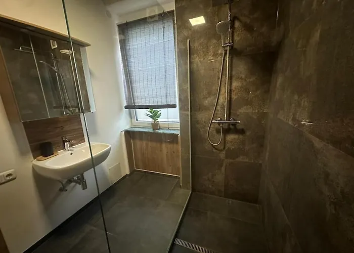 Honor Ideal For 7 Apartment Linz